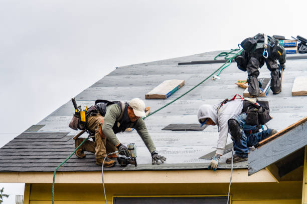 Professional Roofing technician working in Barto, PA